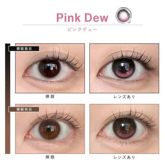 Dewlit Silicone Hydrogel 1Day10P Pink Dew（固定高光｜ 矽水凝膠｜日拋十片裝）